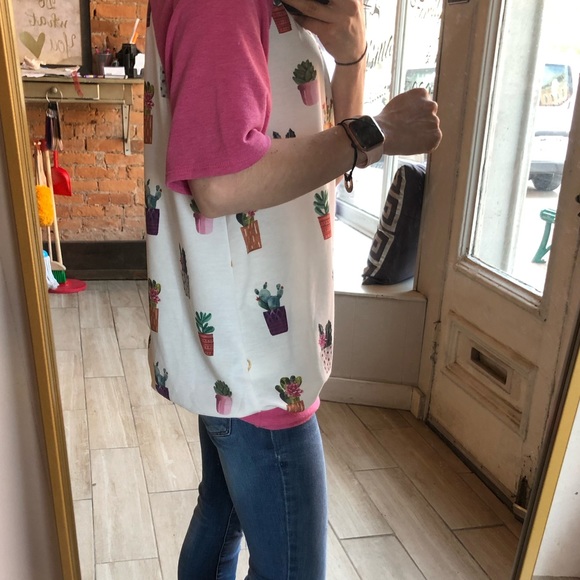 Plant succulent top - Picture 3 of 3